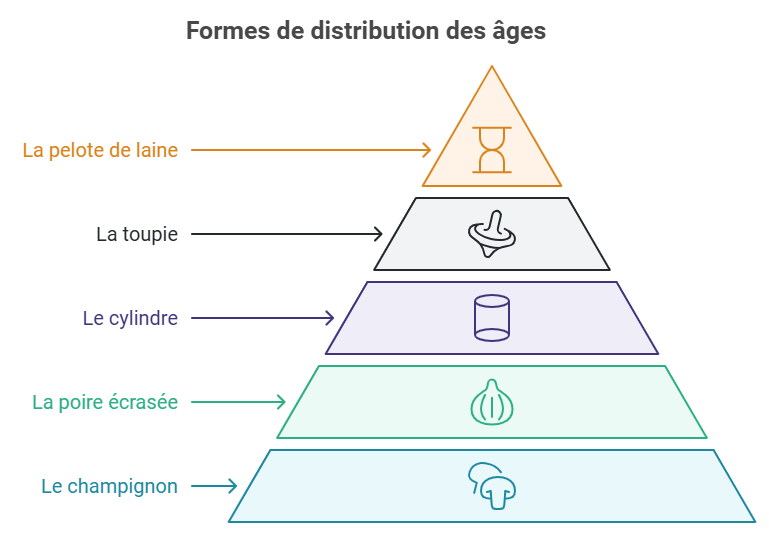 formes de distribution des âges PeopleSpheres