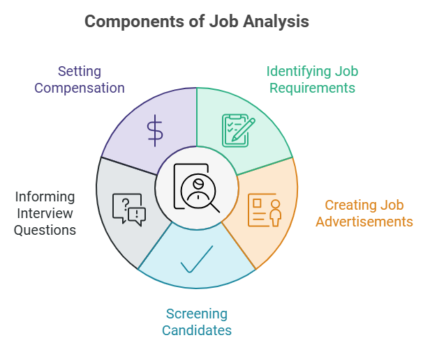 Components of job analysis