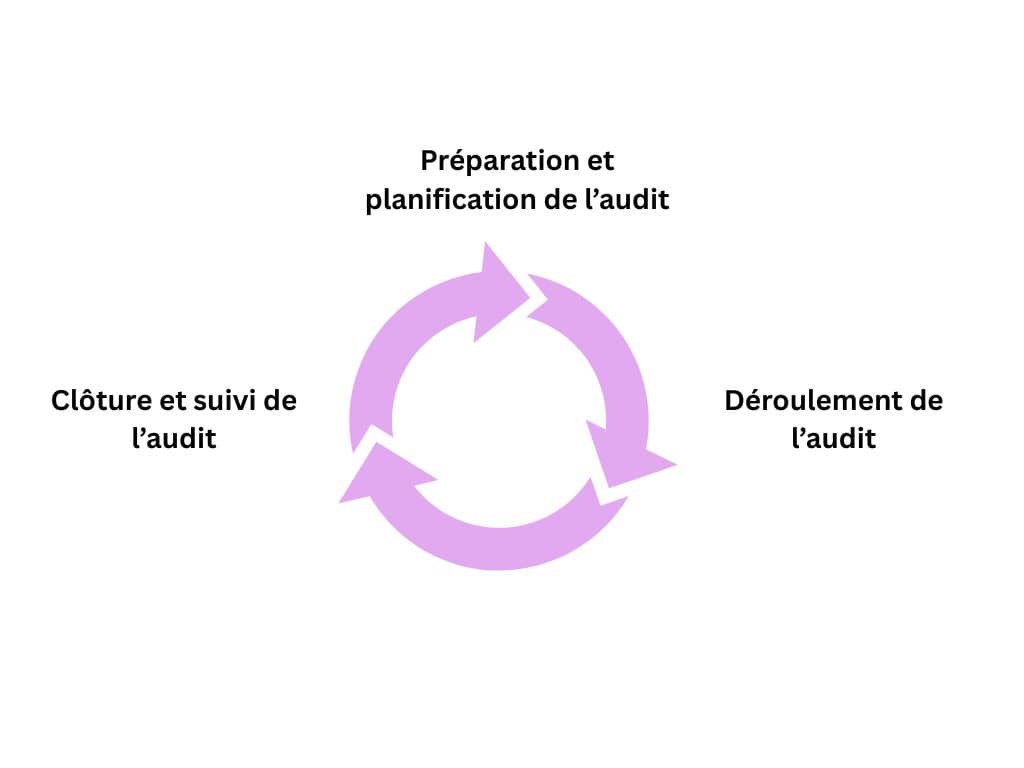 schéma cycle audit interne peoplespheres